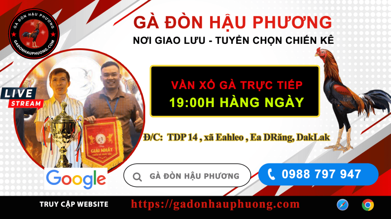 Gà Đòn Hậu Phương - DakLak