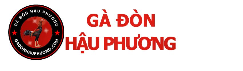 Gà Đòn Hậu Phương - DakLak